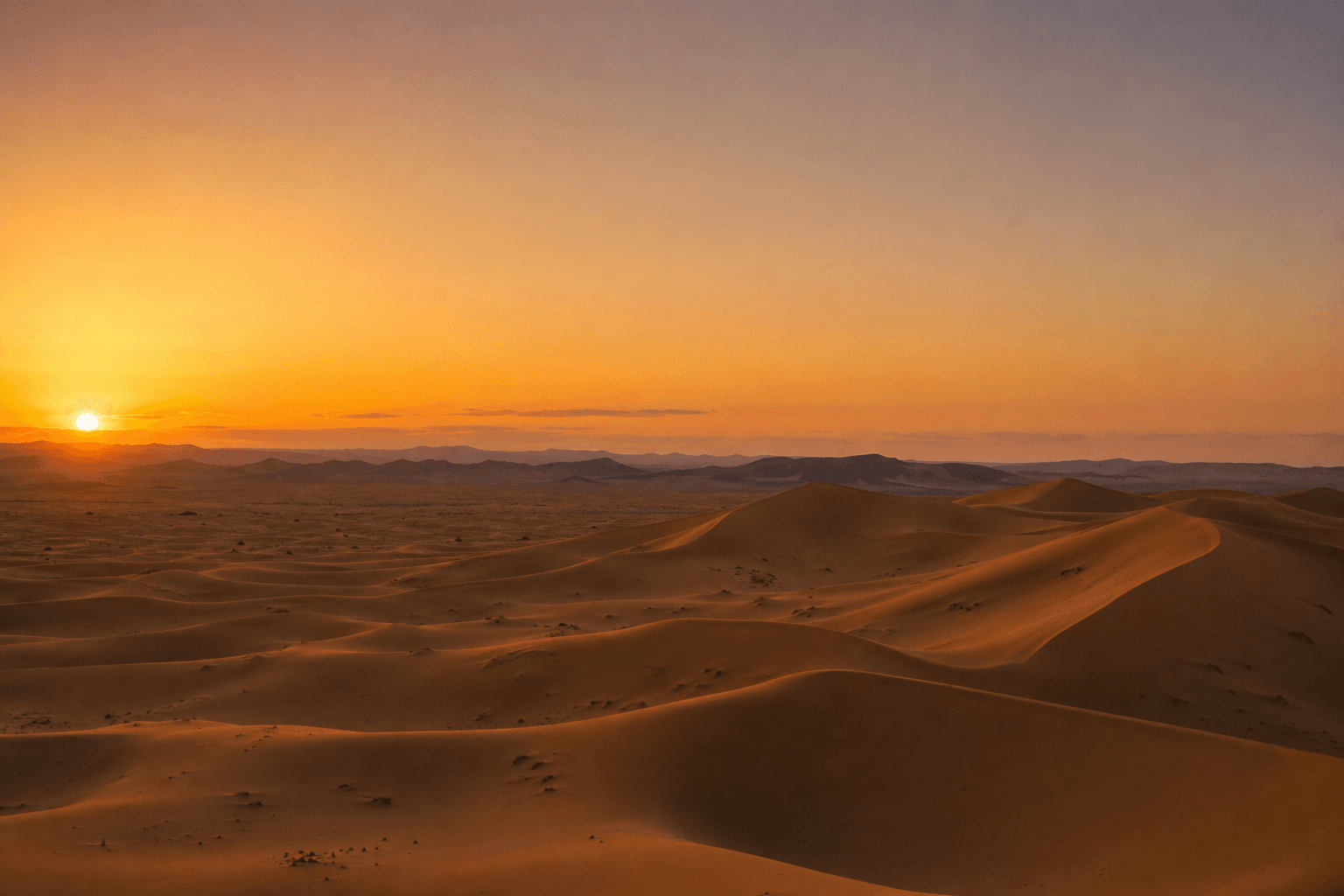 Sahara dunes at sunset